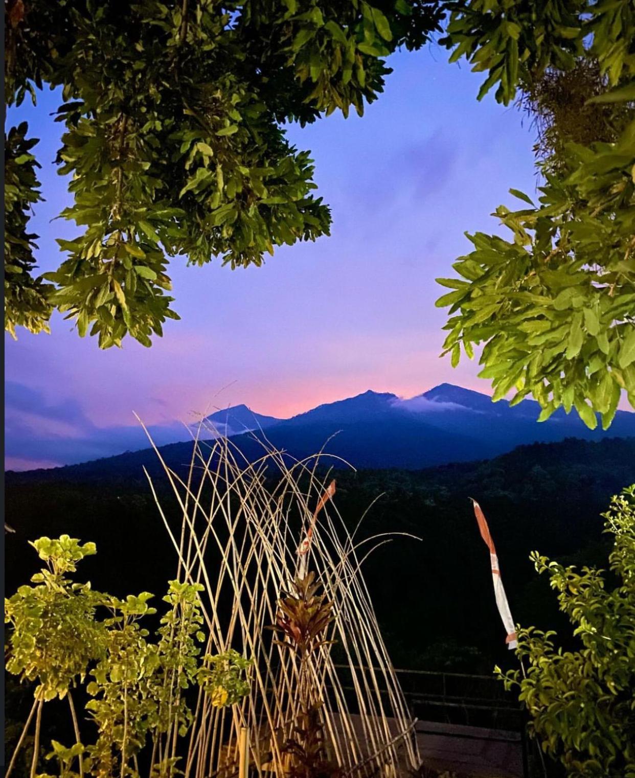 Pondok Senaru Cottages view 3