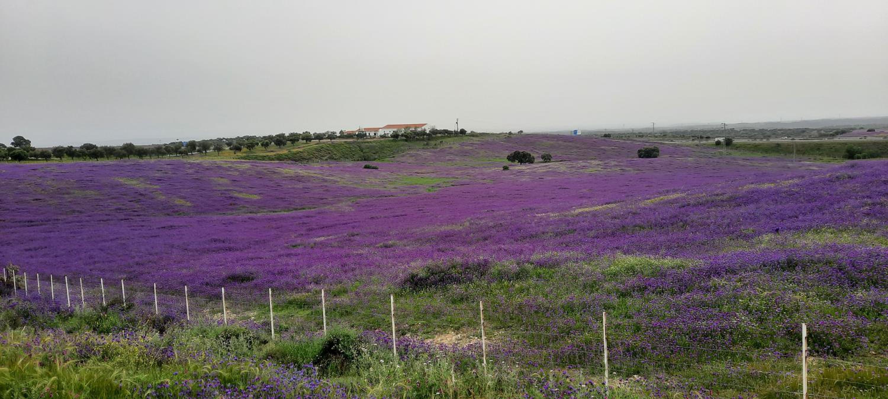 El Refugio