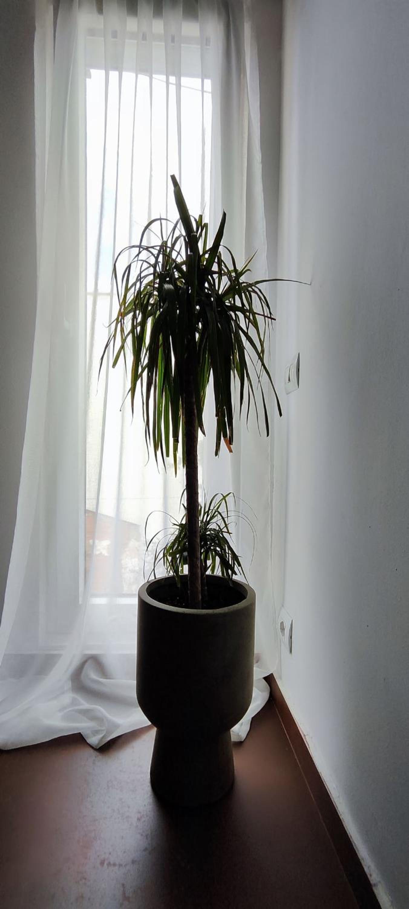 Oldtown Prishtina Apartments, photo 3