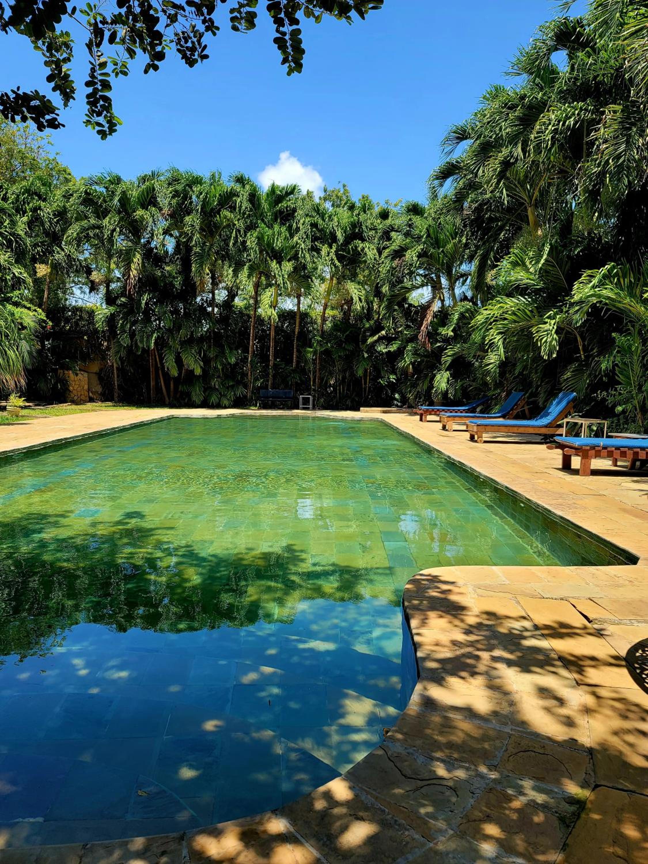 Sophia Baharini Diani Apartments view 5