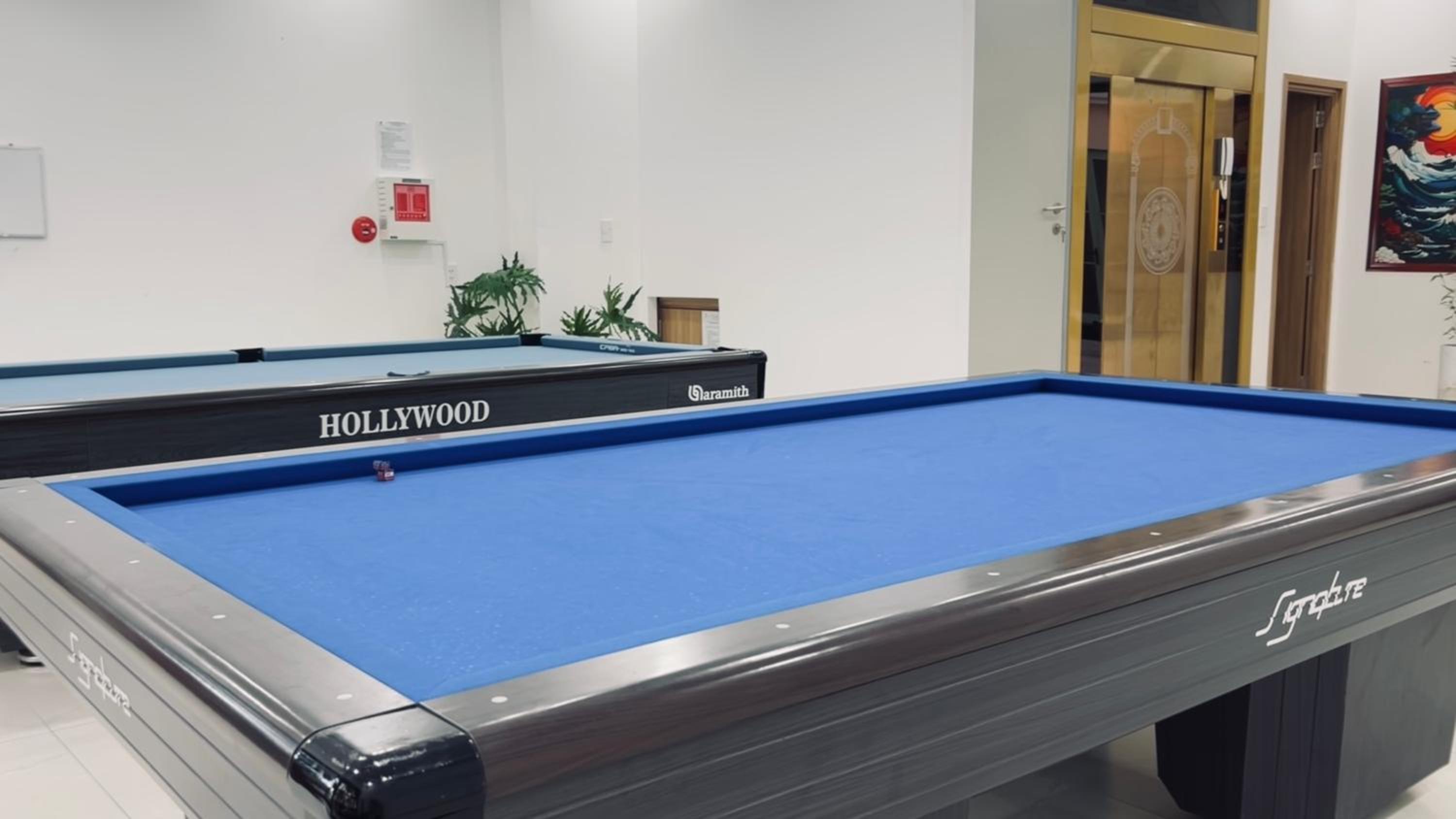 activities & amenities