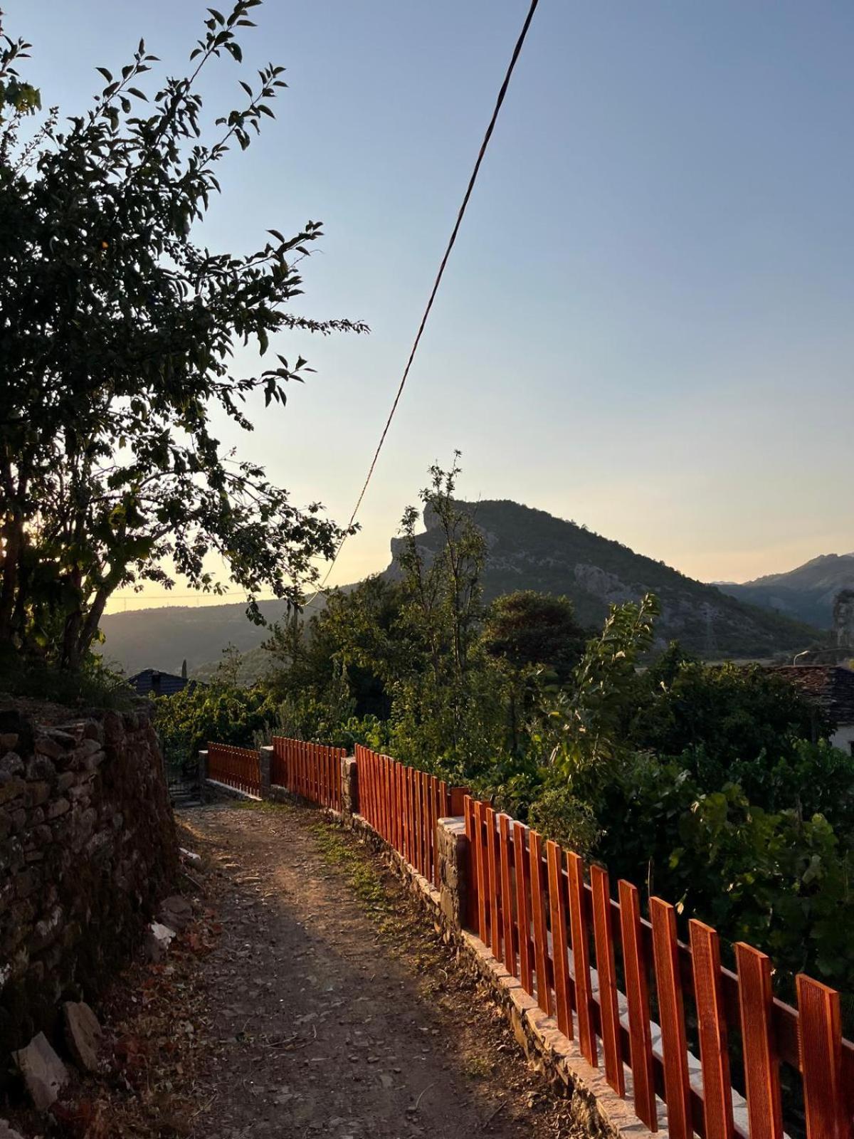 Bujtina Lugina e vjosës
