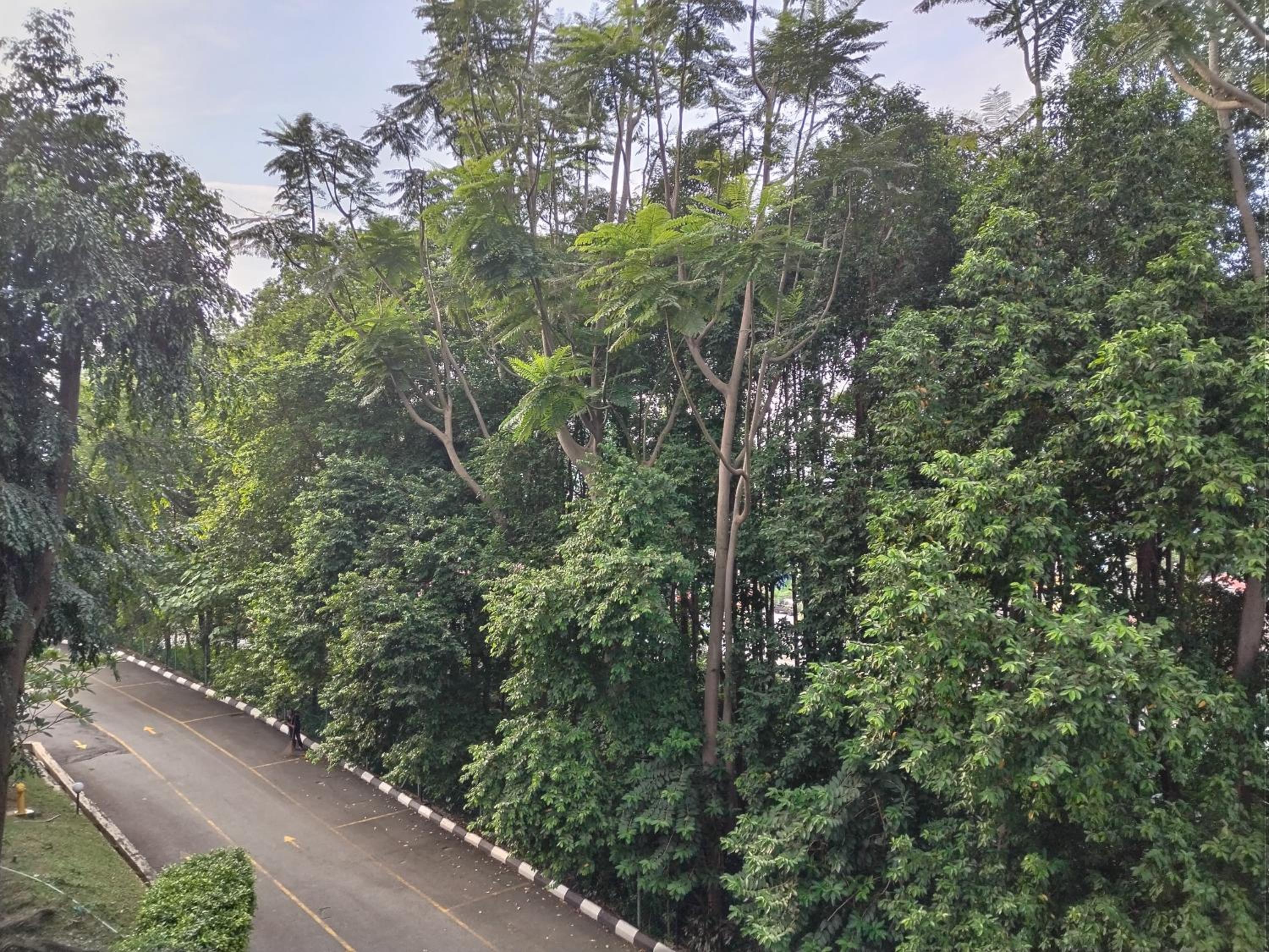 Homestay Spacious Condo Gurney Heights 5min to KLCC