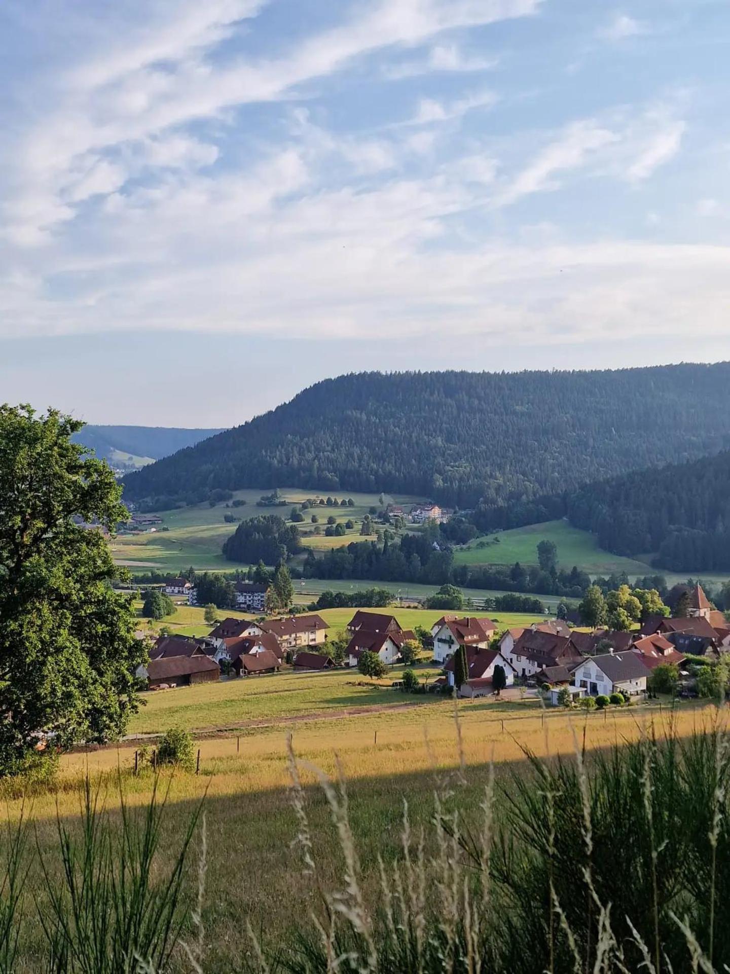 Moderne, ruhige Ferienwohnung Heselbach
