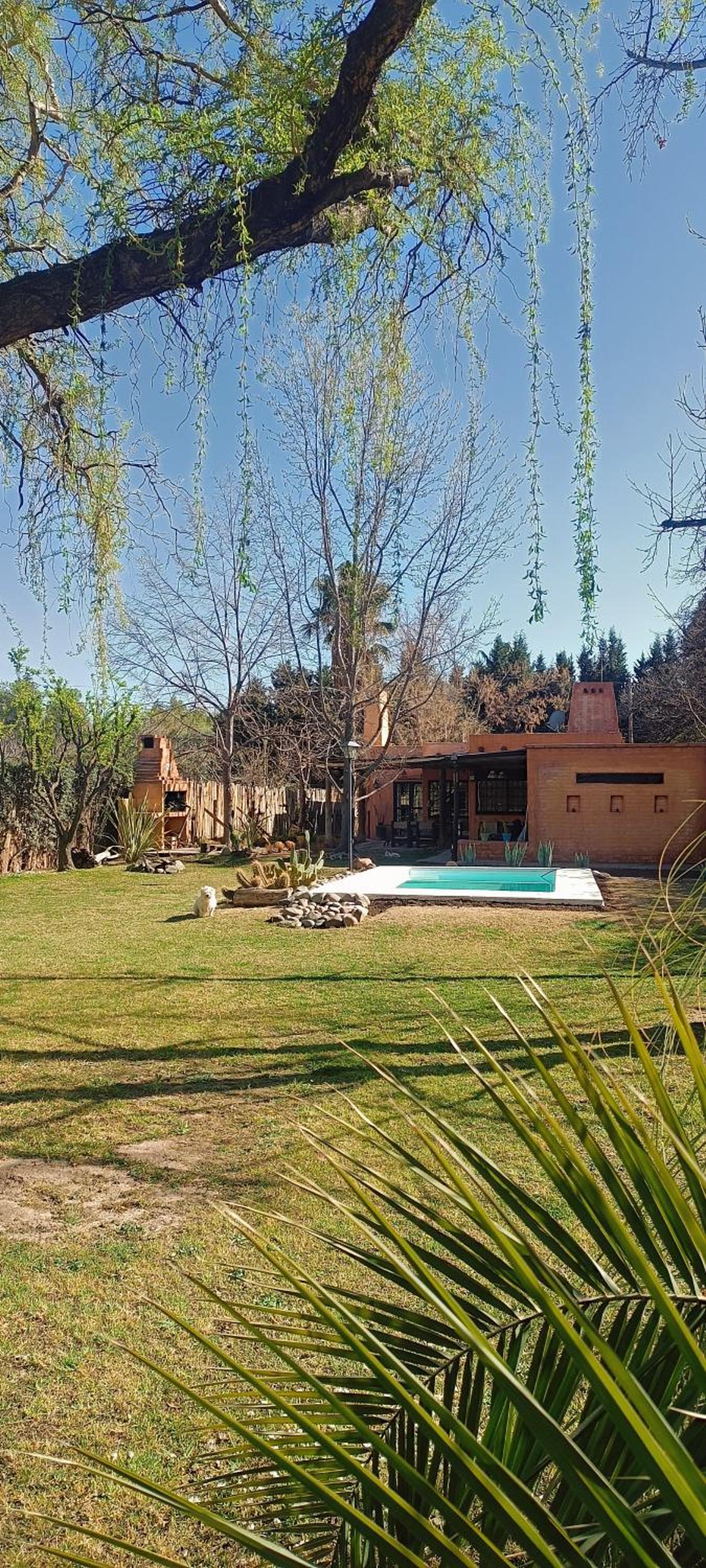Casa Darragueira de Chacras de Coria