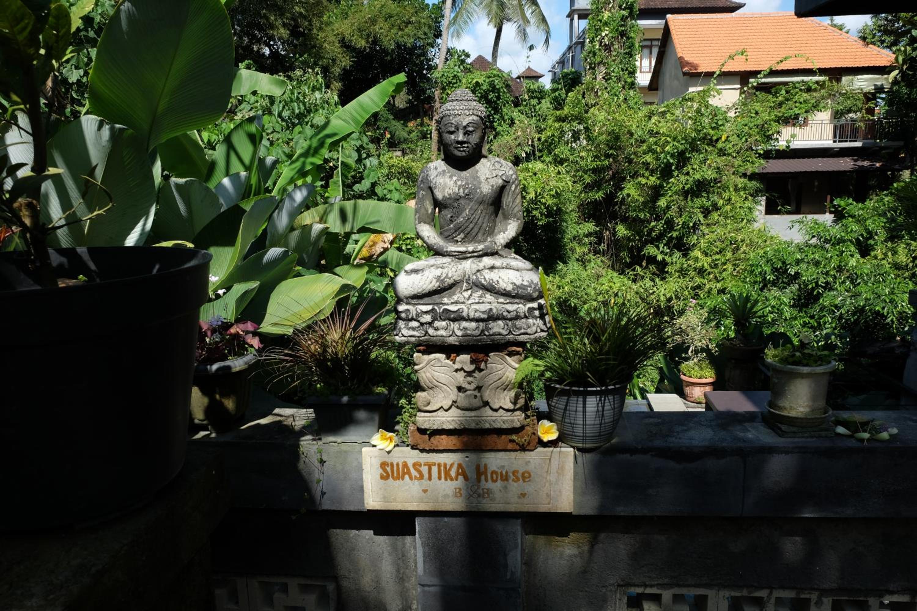Photo 46