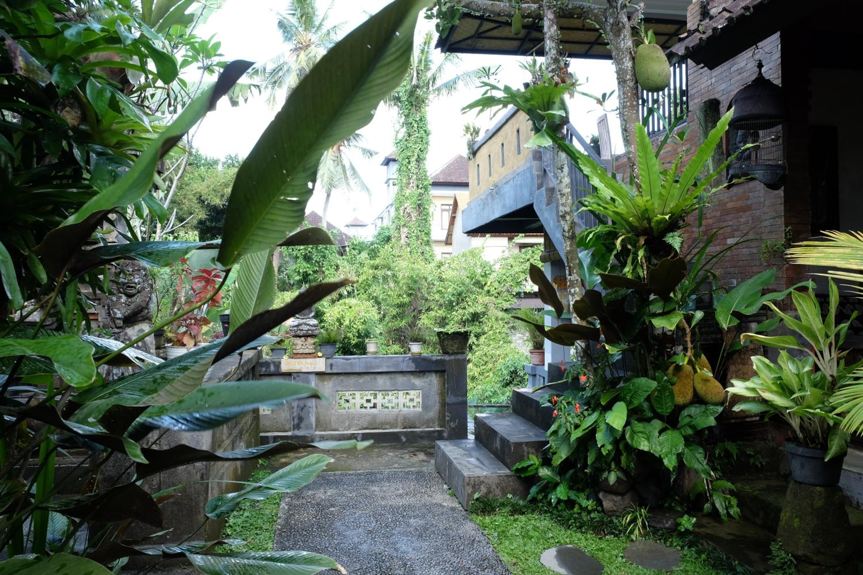 Photo 43