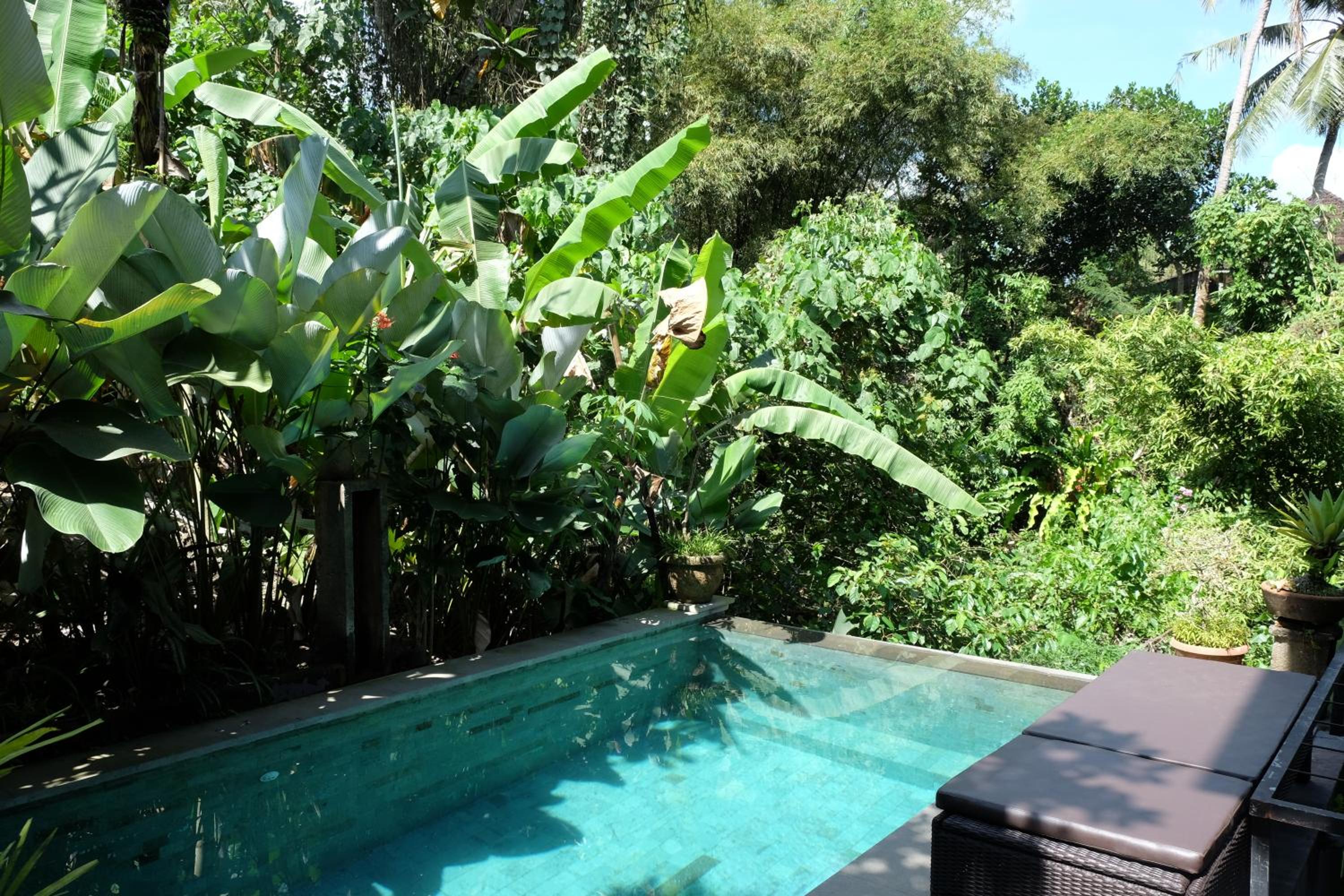 Suastika Guest House Ubud view 2