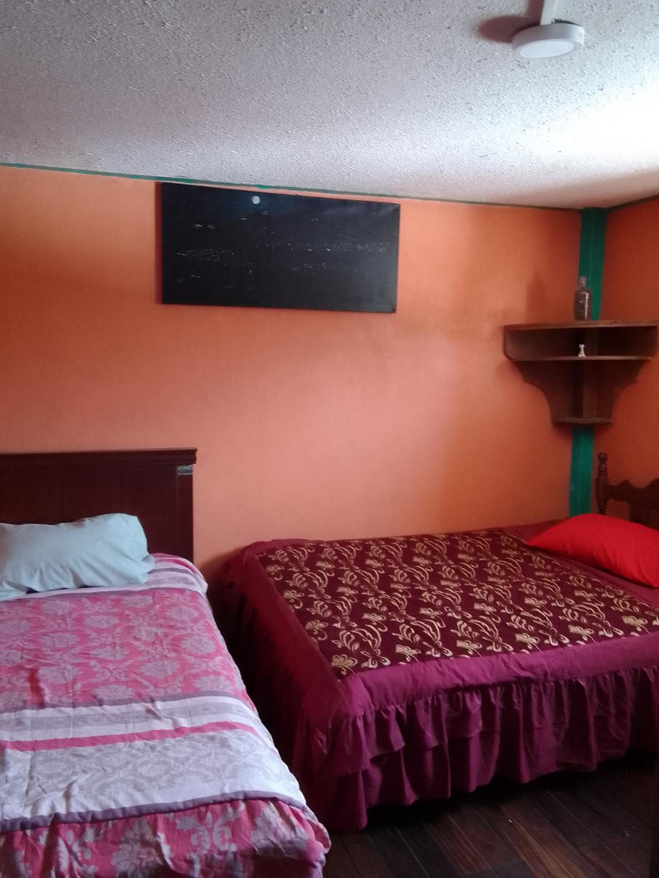 Casa verde