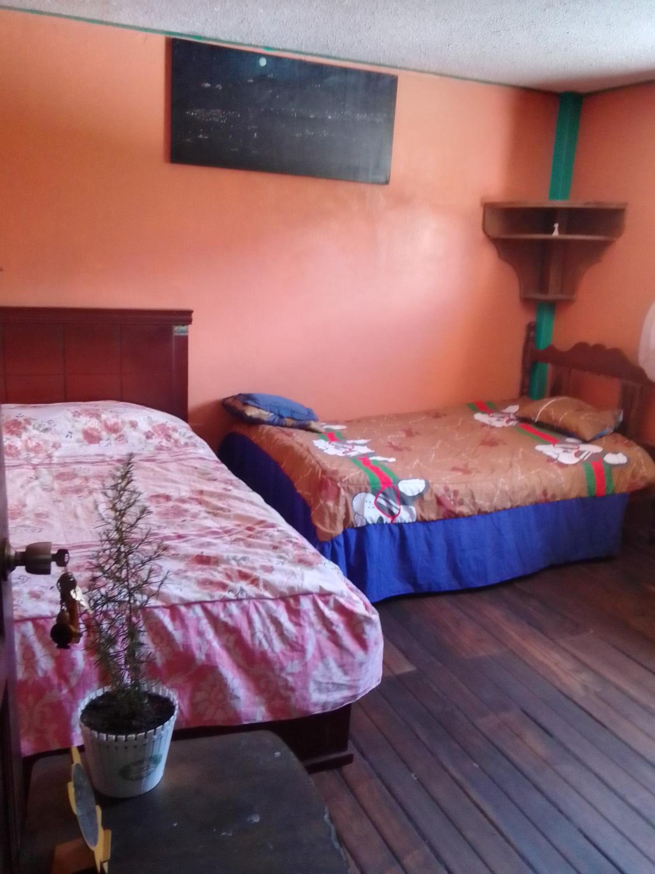 Casa verde