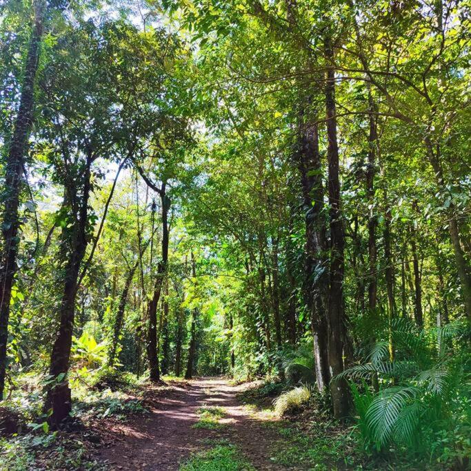 Aventura Familiar Bosque Tropical Volcán Arenal