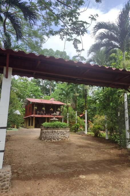 Aventura Familiar Bosque Tropical Volcán Arenal