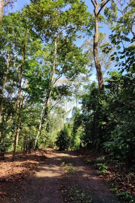 Aventura Familiar Bosque Tropical Volcán Arenal