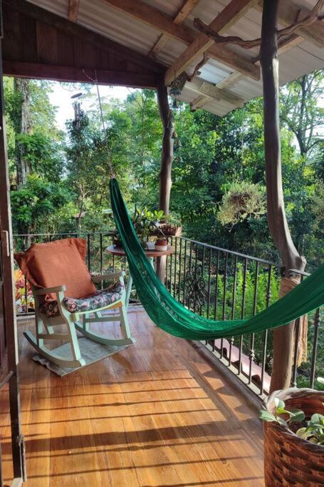 Aventura Familiar Bosque Tropical Volcán Arenal