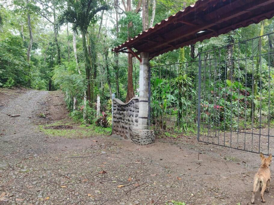 Aventura Familiar Bosque Tropical Volcán Arenal