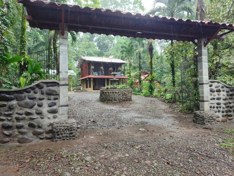 Aventura Familiar Bosque Tropical Volcán Arenal