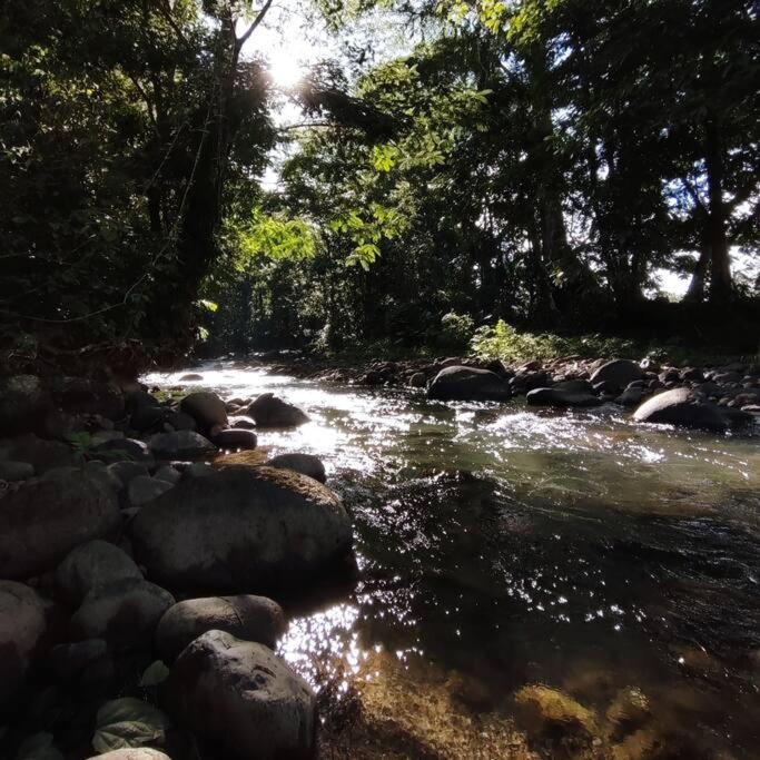 Aventura Familiar Bosque Tropical Volcán Arenal