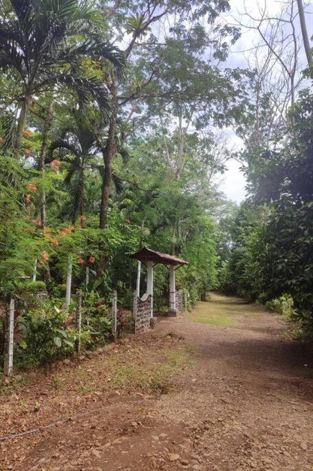 Aventura Familiar Bosque Tropical Volcán Arenal