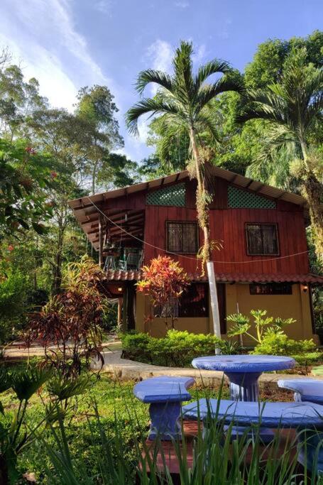 Aventura Familiar Bosque Tropical Volcán Arenal