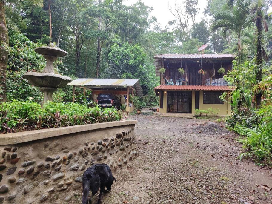 Aventura Familiar Bosque Tropical Volcán Arenal