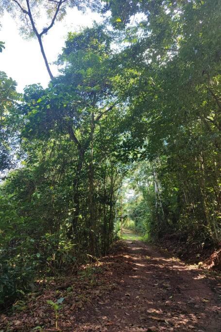 Aventura Familiar Bosque Tropical Volcán Arenal