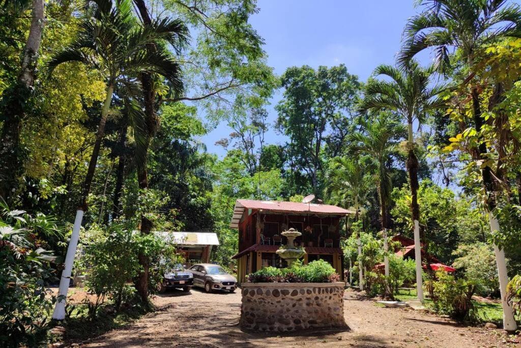 Aventura Familiar Bosque Tropical Volcán Arenal