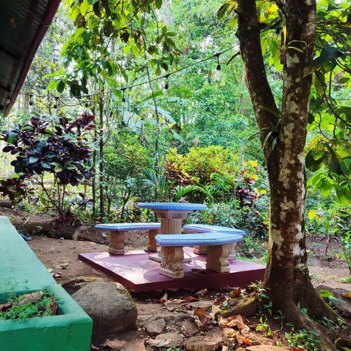Aventura Familiar Bosque Tropical Volcán Arenal