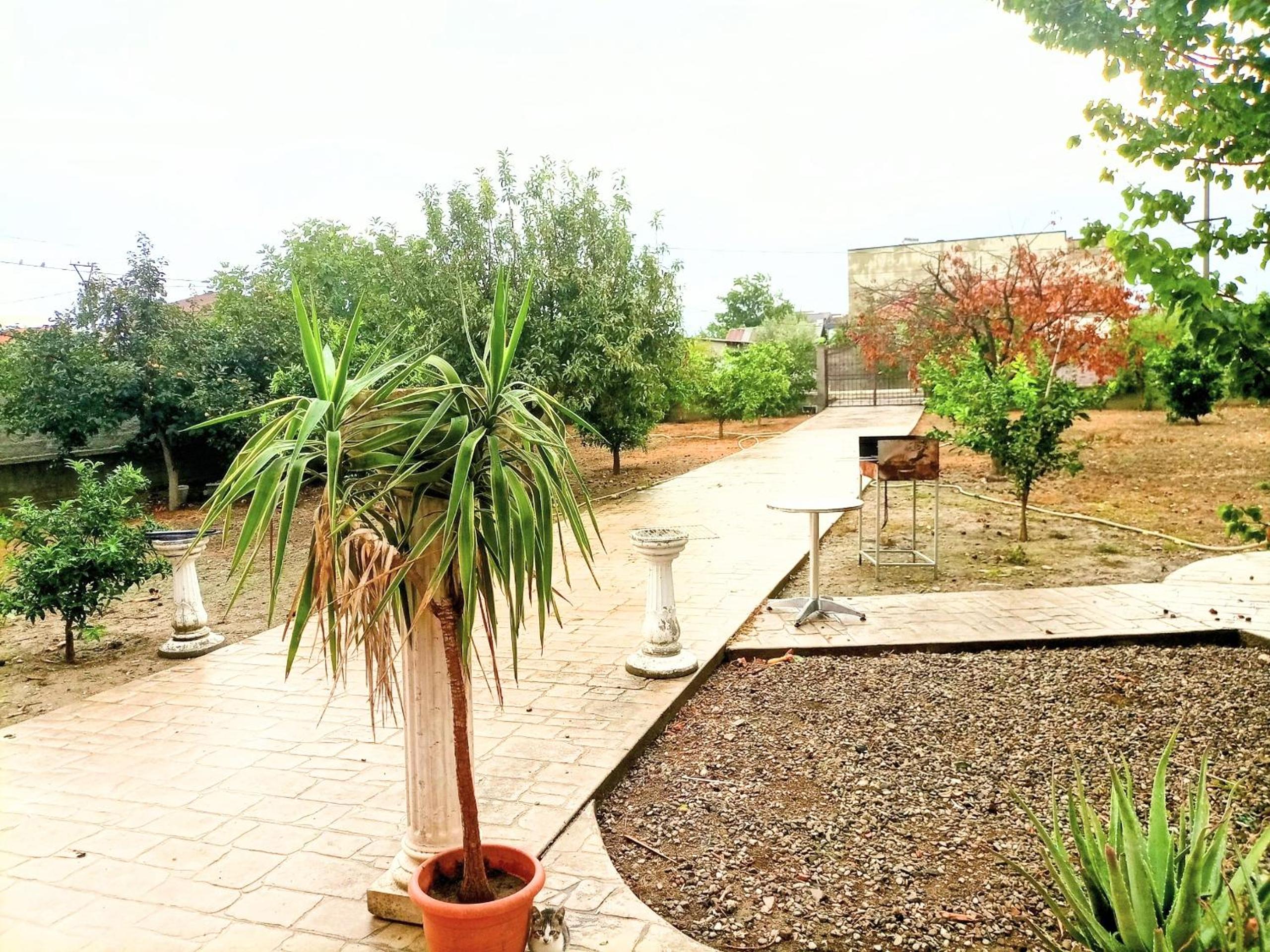 Villas Albania to rent Durres city photo 4