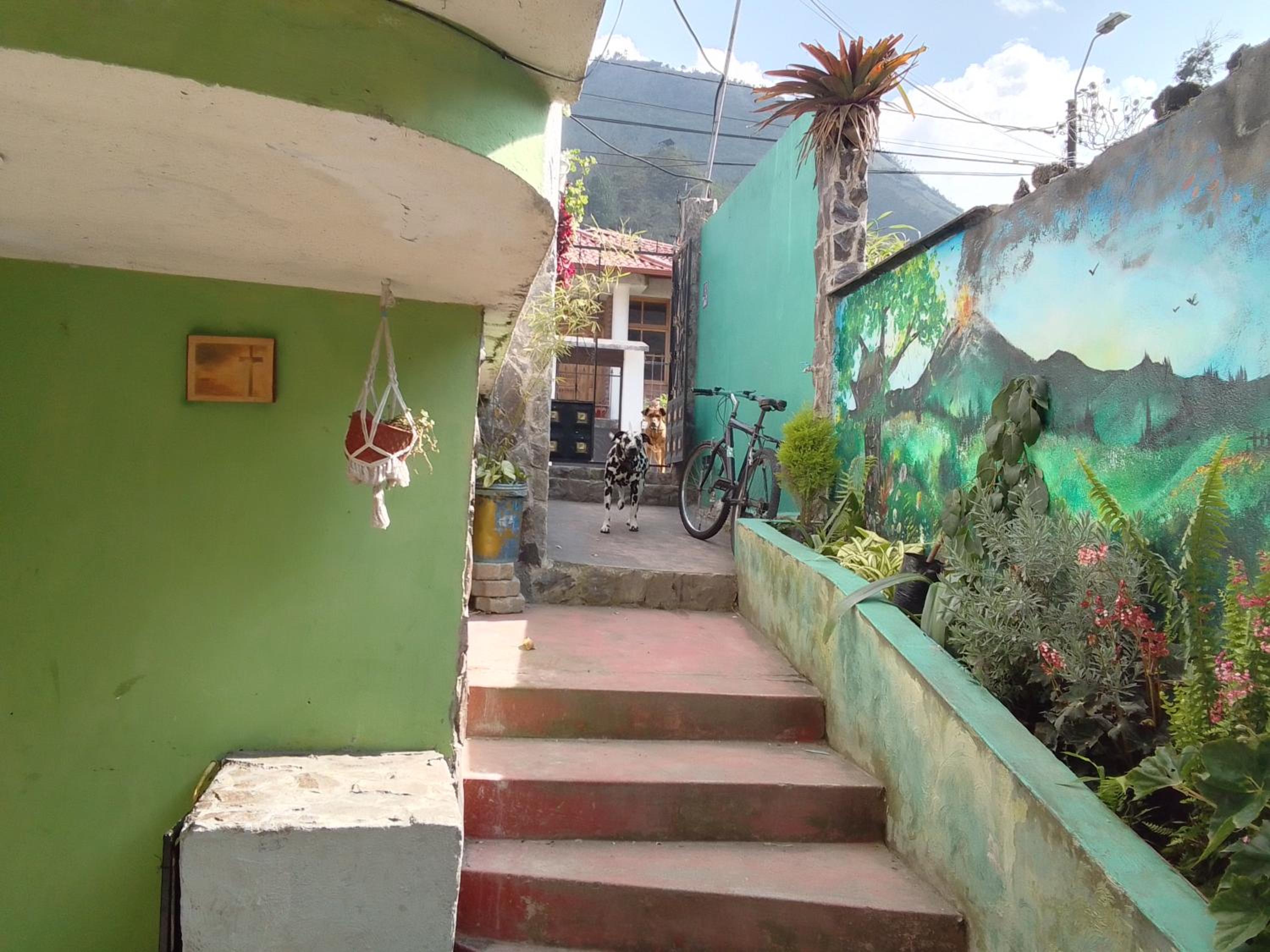 Casa verde