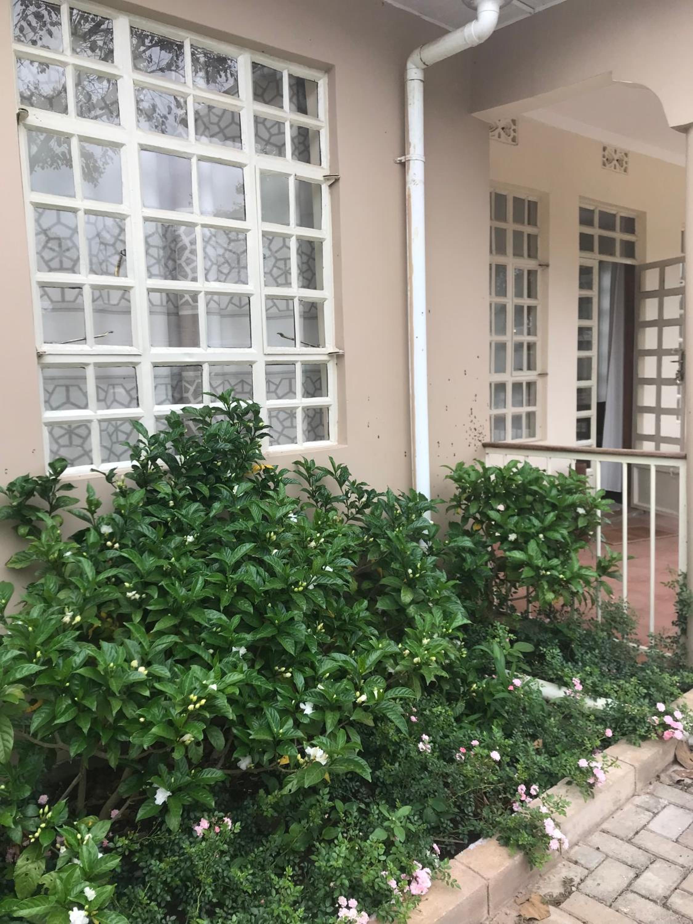 Allamanda House Meru