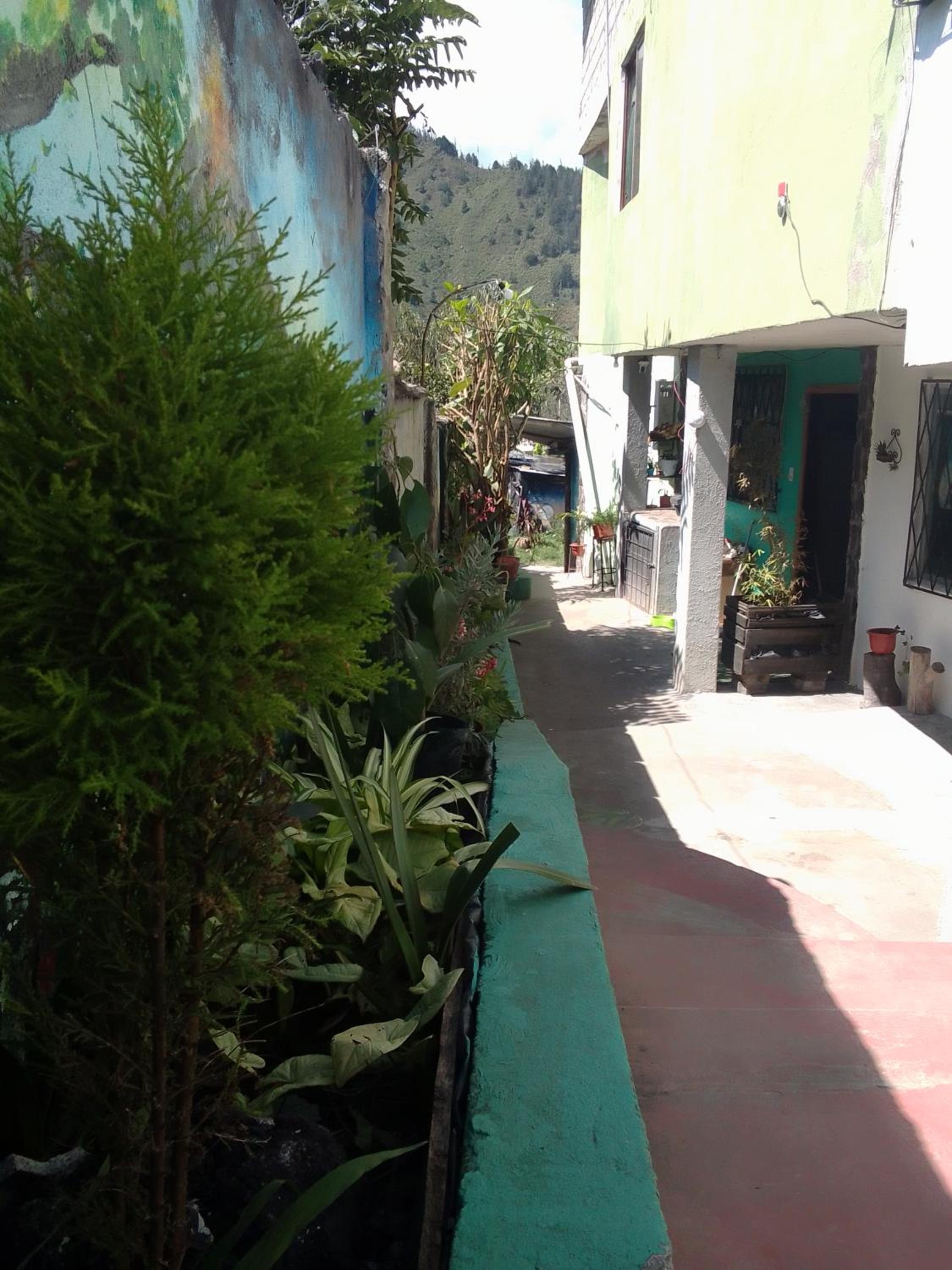 Casa verde