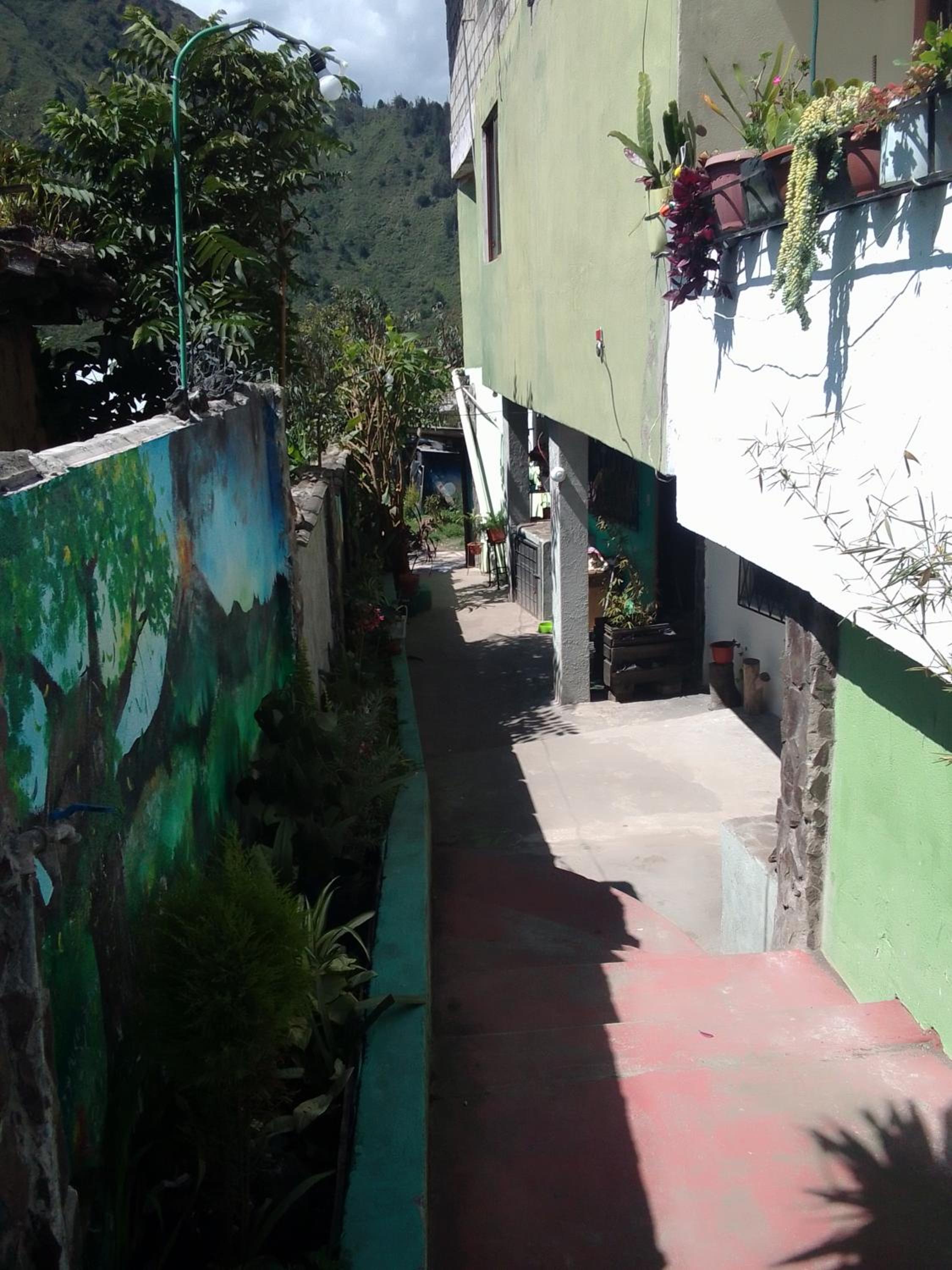 Casa verde