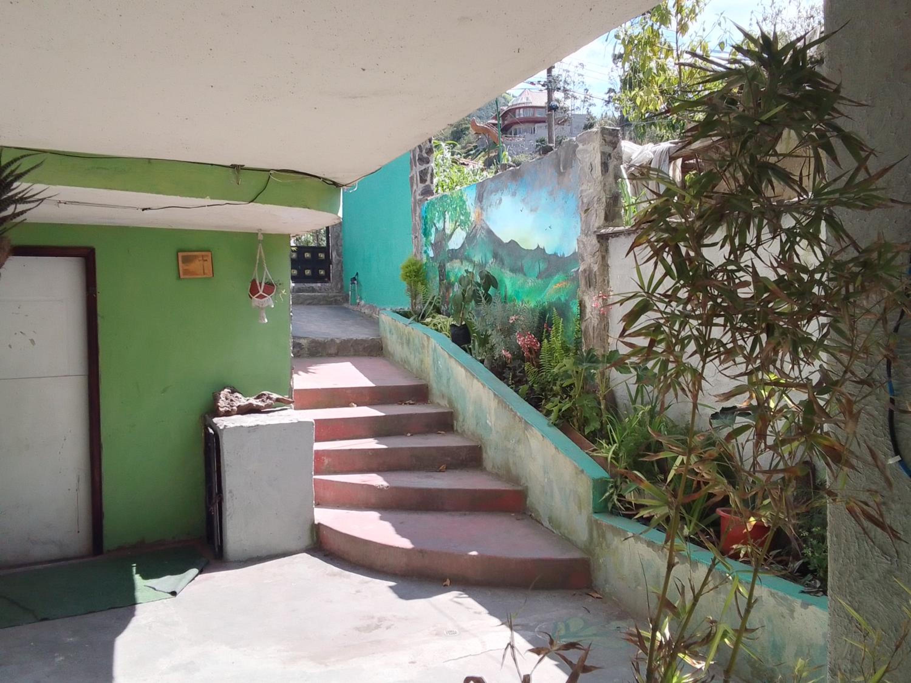 Casa verde