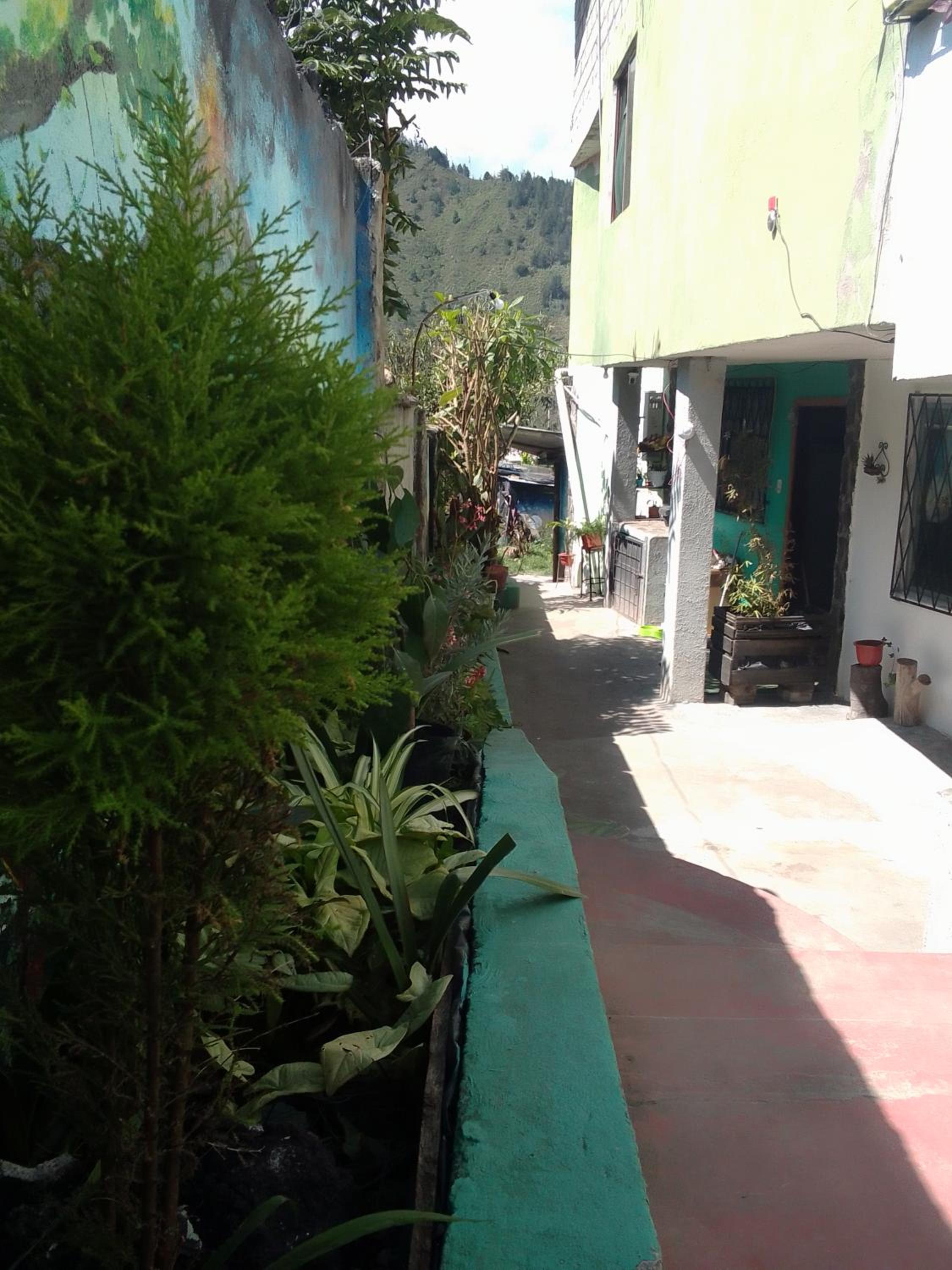 Casa verde