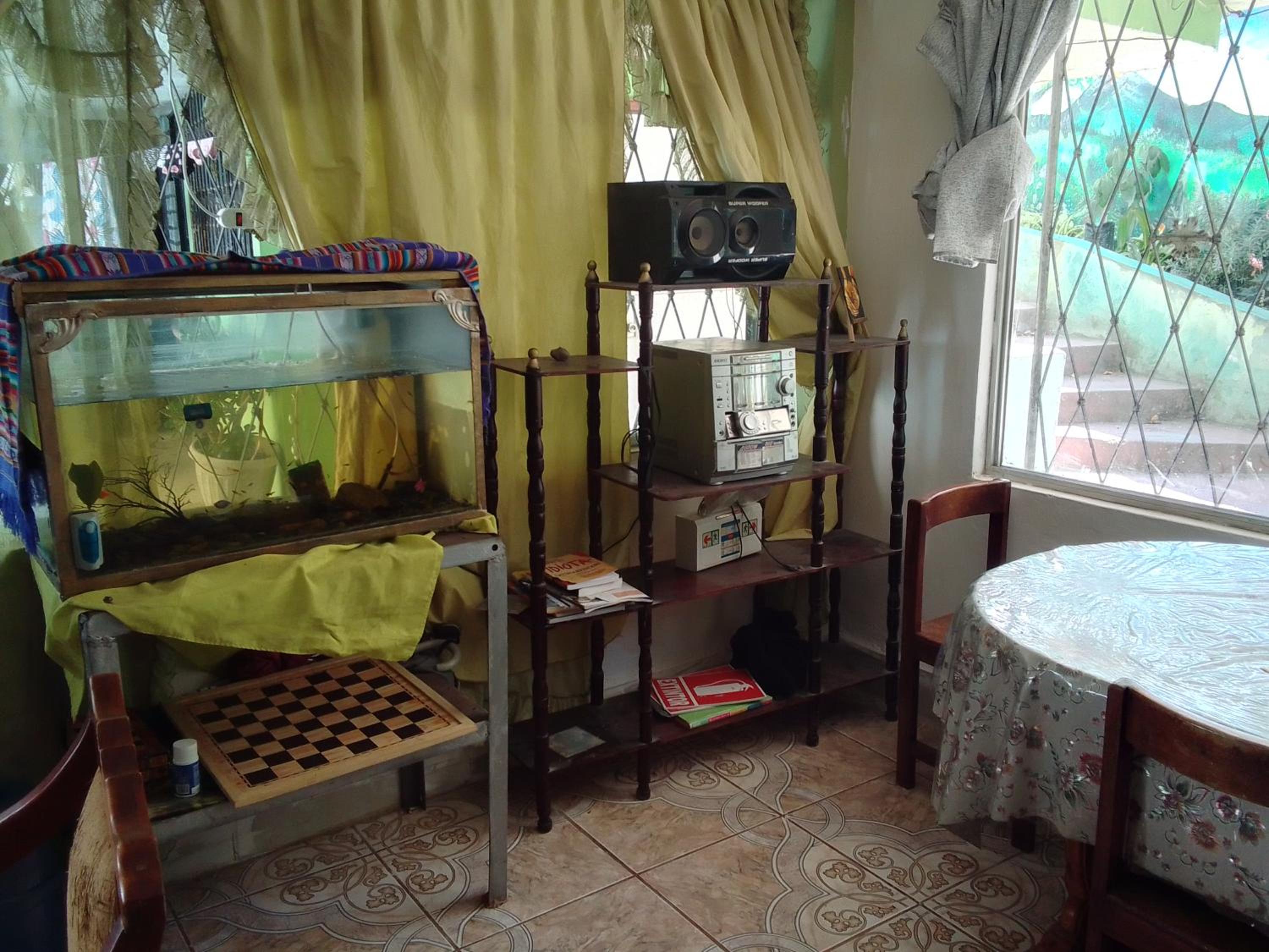Casa verde