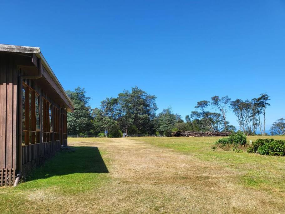 Mt Elephant Bush Retreat - Gray