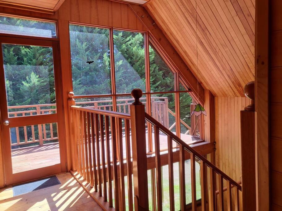 Mt Elephant Bush Retreat - Gray