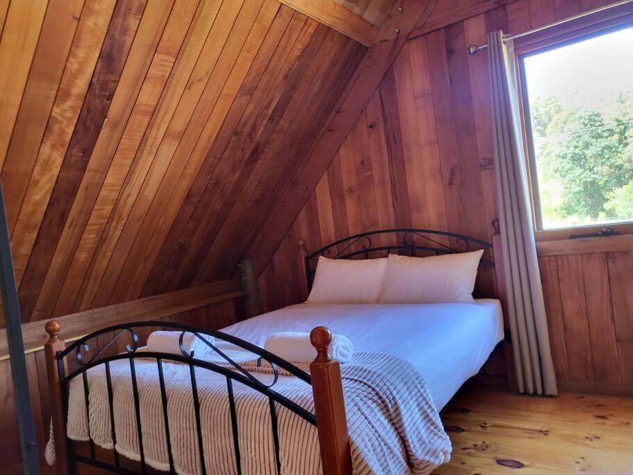 Mt Elephant Bush Retreat - Gray