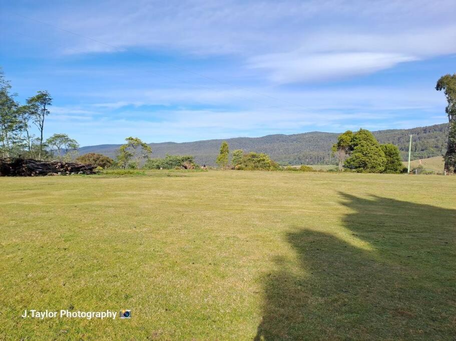 Mt Elephant Bush Retreat - Gray