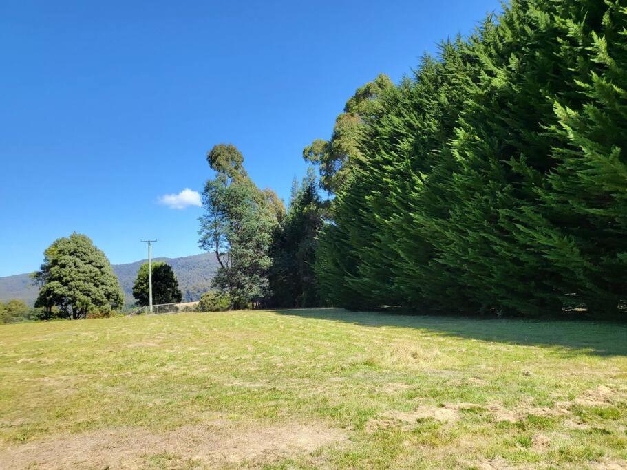 Mt Elephant Bush Retreat - Gray