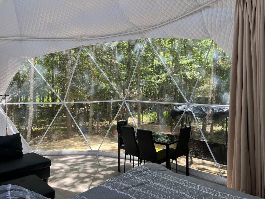 Chamcook_B Dome