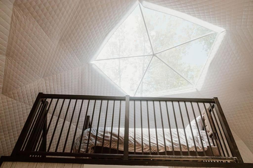 Chamcook_B Dome
