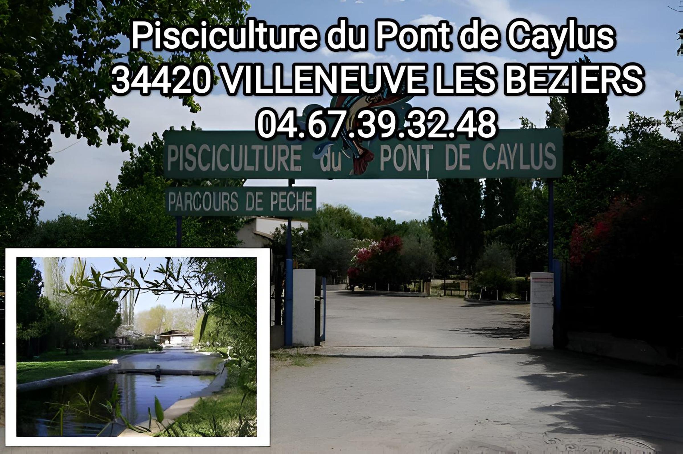 Tiny House 1, 2 ou 3 personnes SoeursGrises Béziers Centre Historique coeur de l'Hérault Occitanie, plus vieille ville de France, chemin de Compostelle