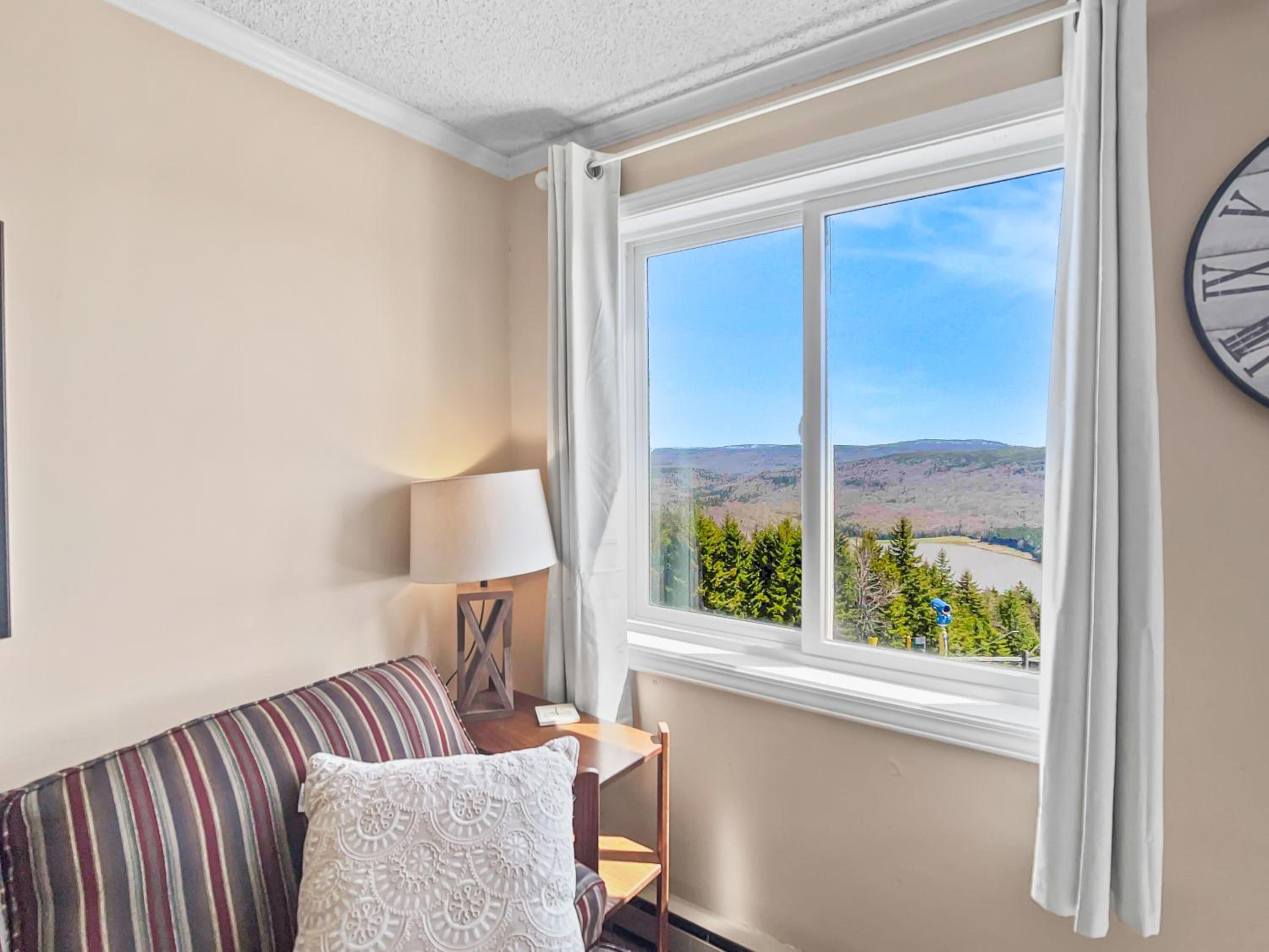 First Floor Mountain View Steps to the Slopes WiFi view 2