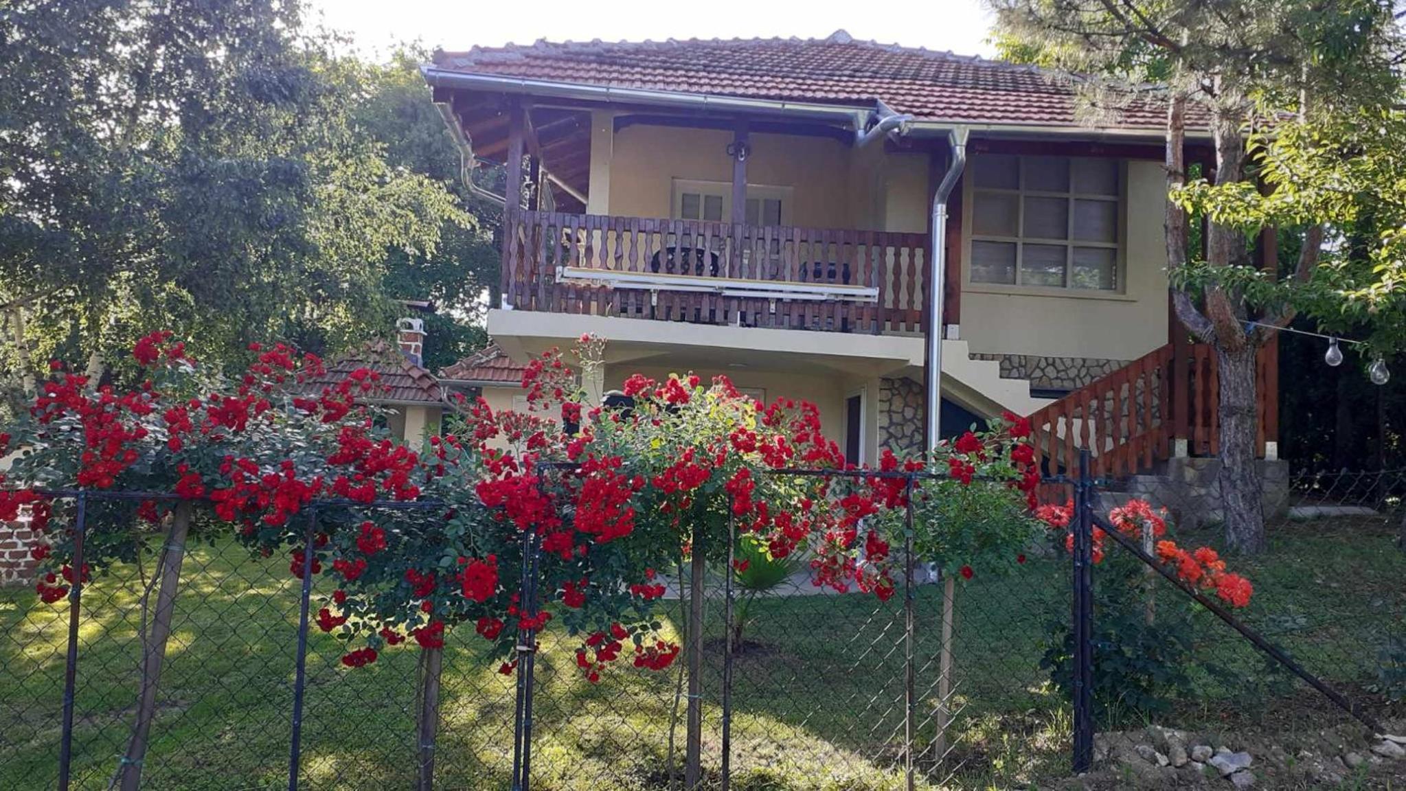Dunavska Priča