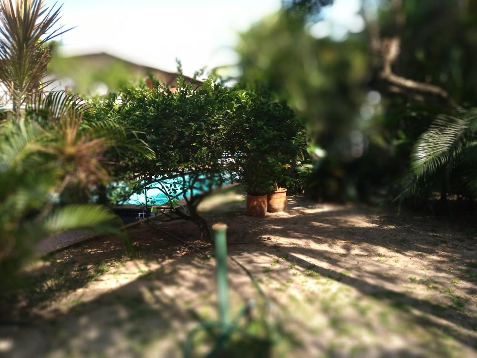 Condominio Solar Lagoa dos Passaros