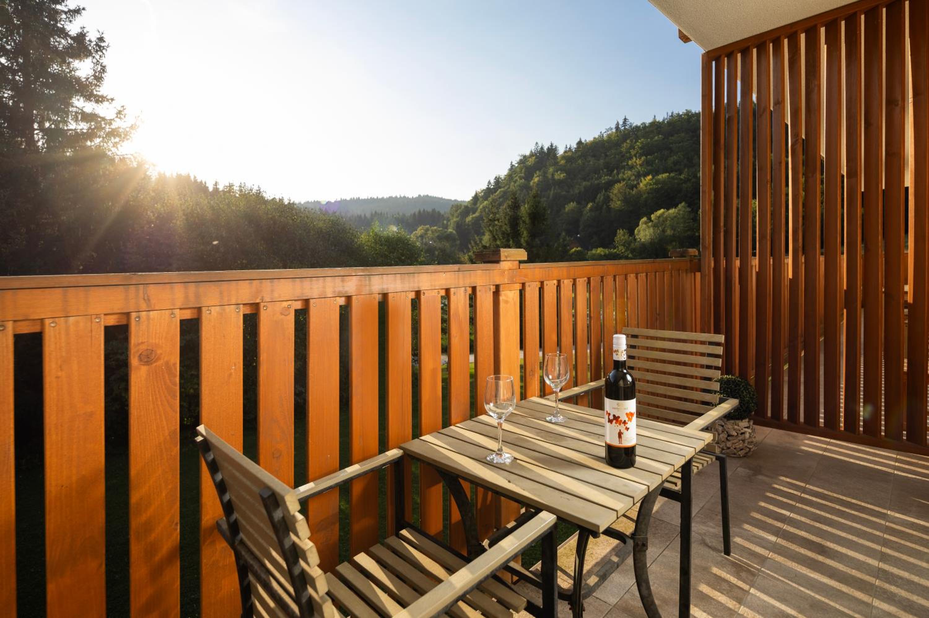 Apartmán SOSNA view 5