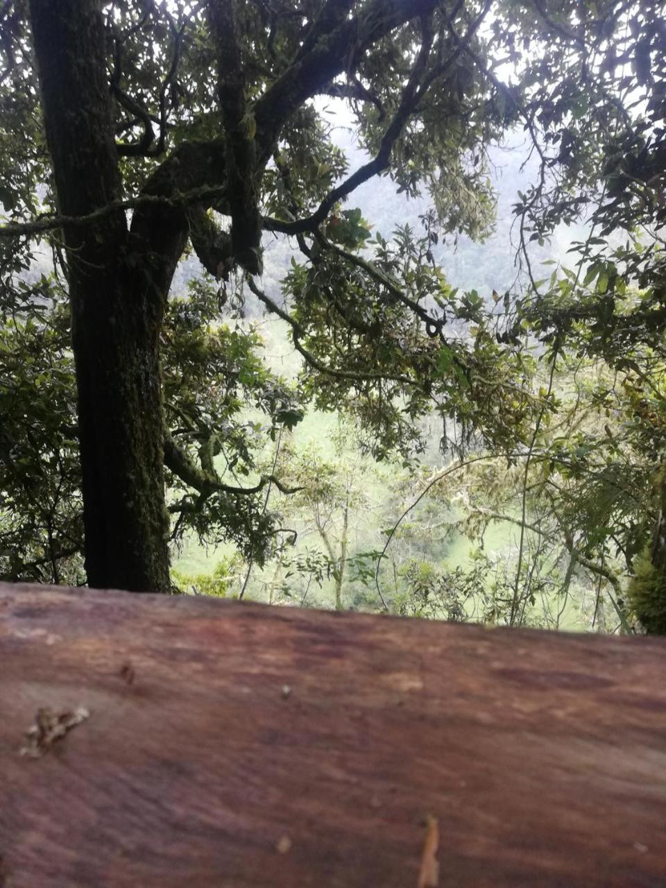 Cabañas el condor del Ruíz