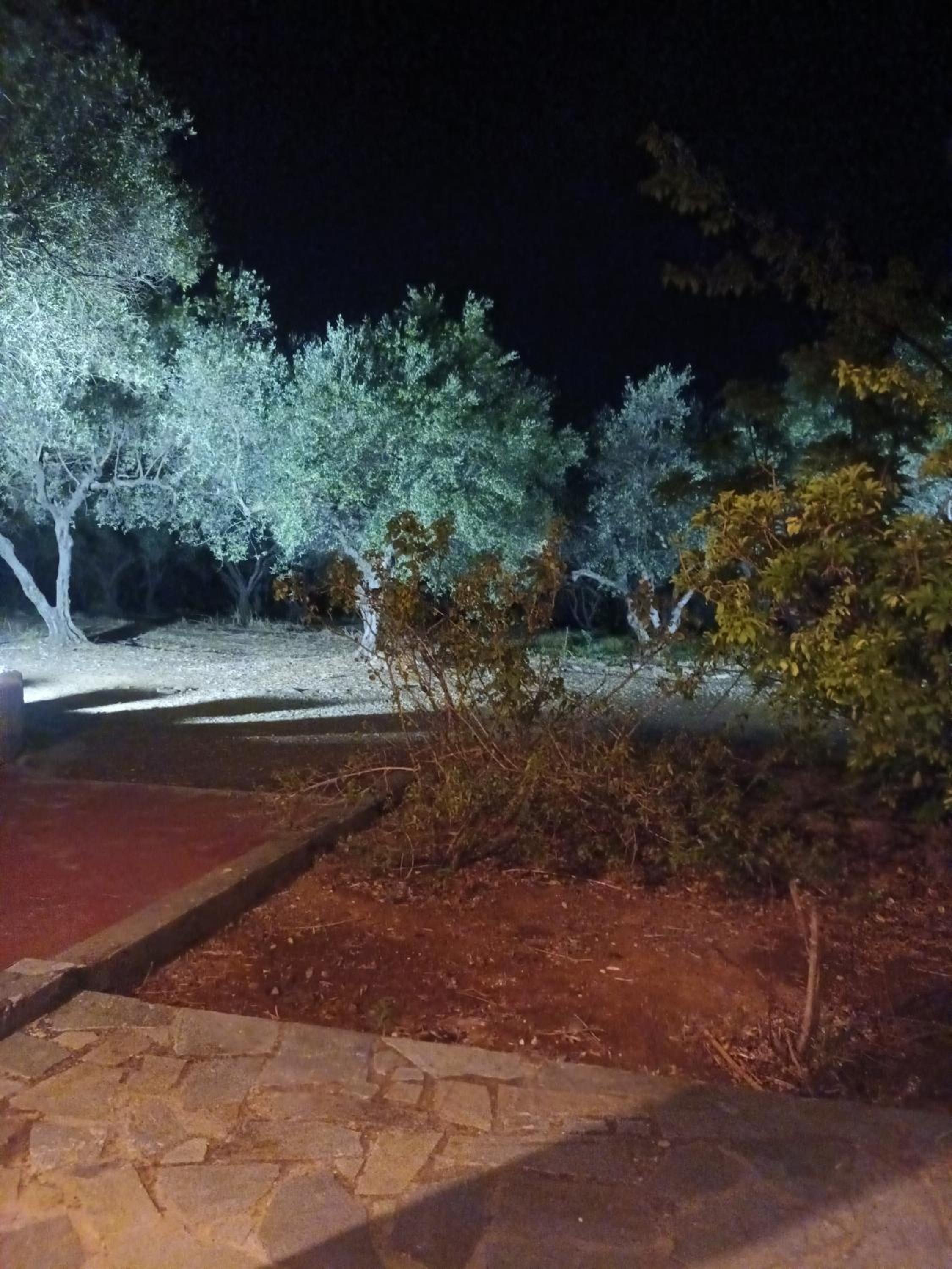 Photo 34