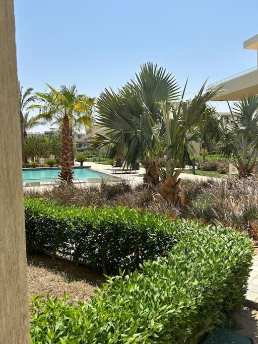 Peaceful 1BR studio at G-Crib El Gouna view 4